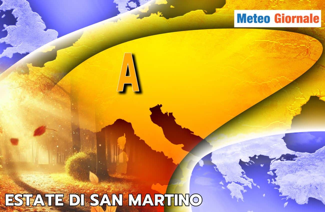 articolo 3