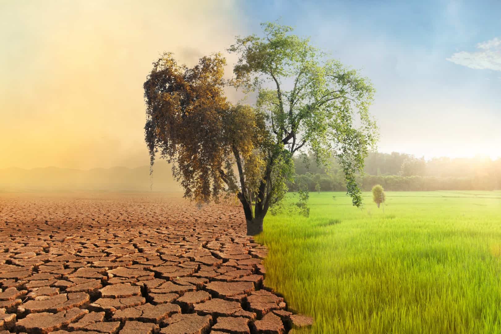 Cambiamento climatico: accordo “Mutirão” deludente