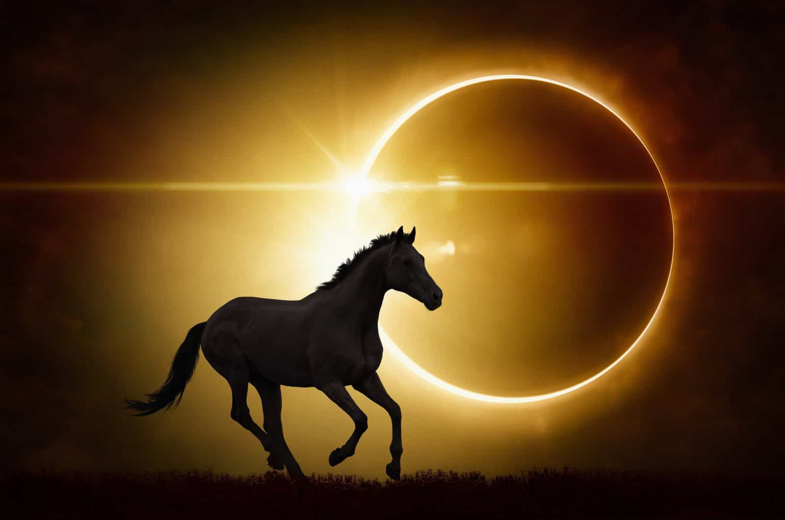 Eclissi di Sole Totale anche in Italia. Date, percentuali oscuramento per città