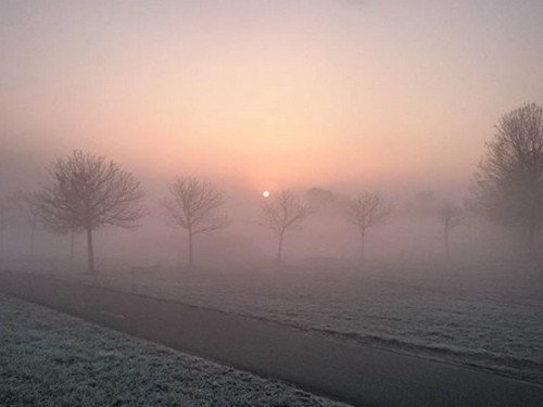 nebbia