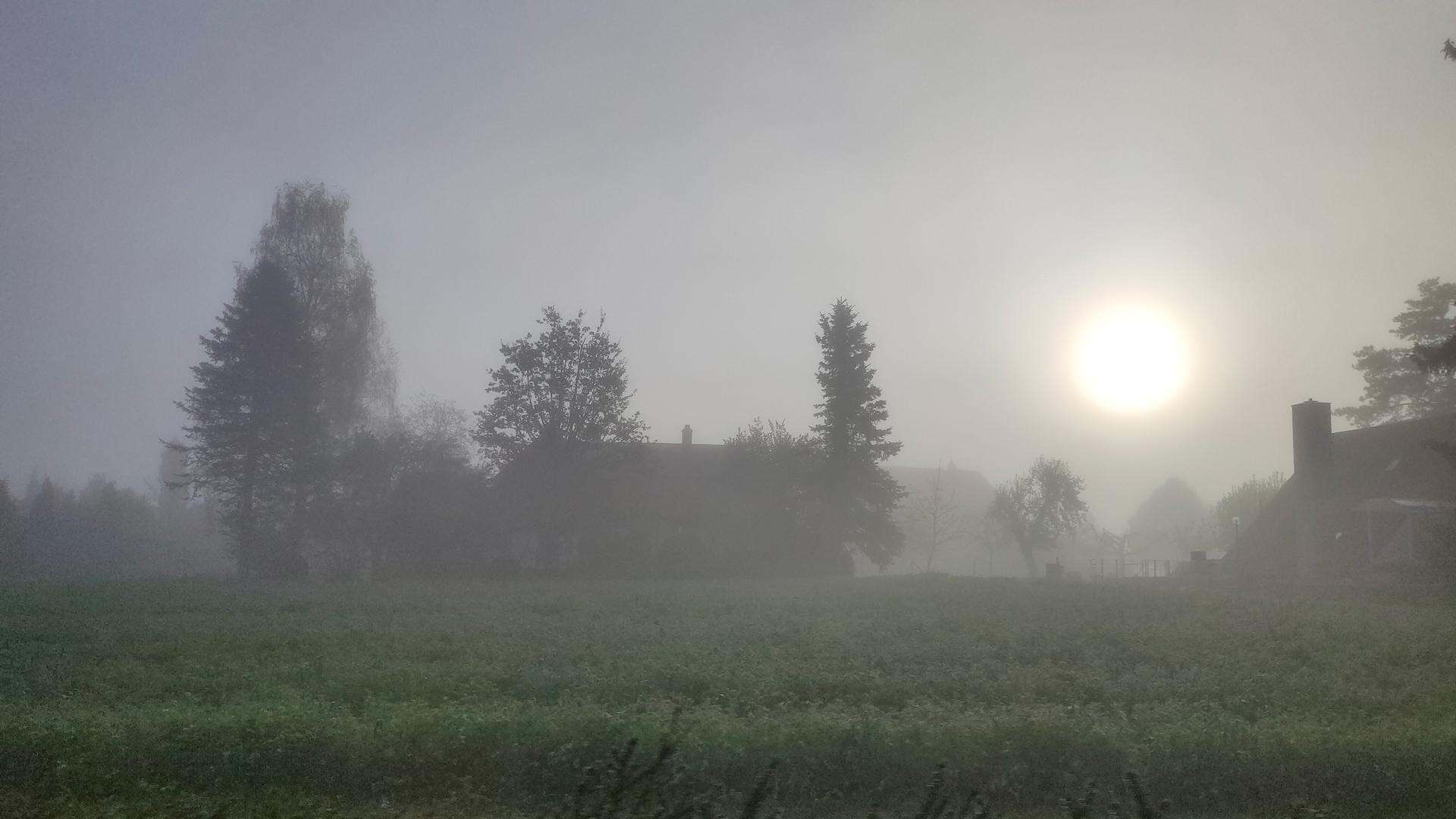 nebbia1