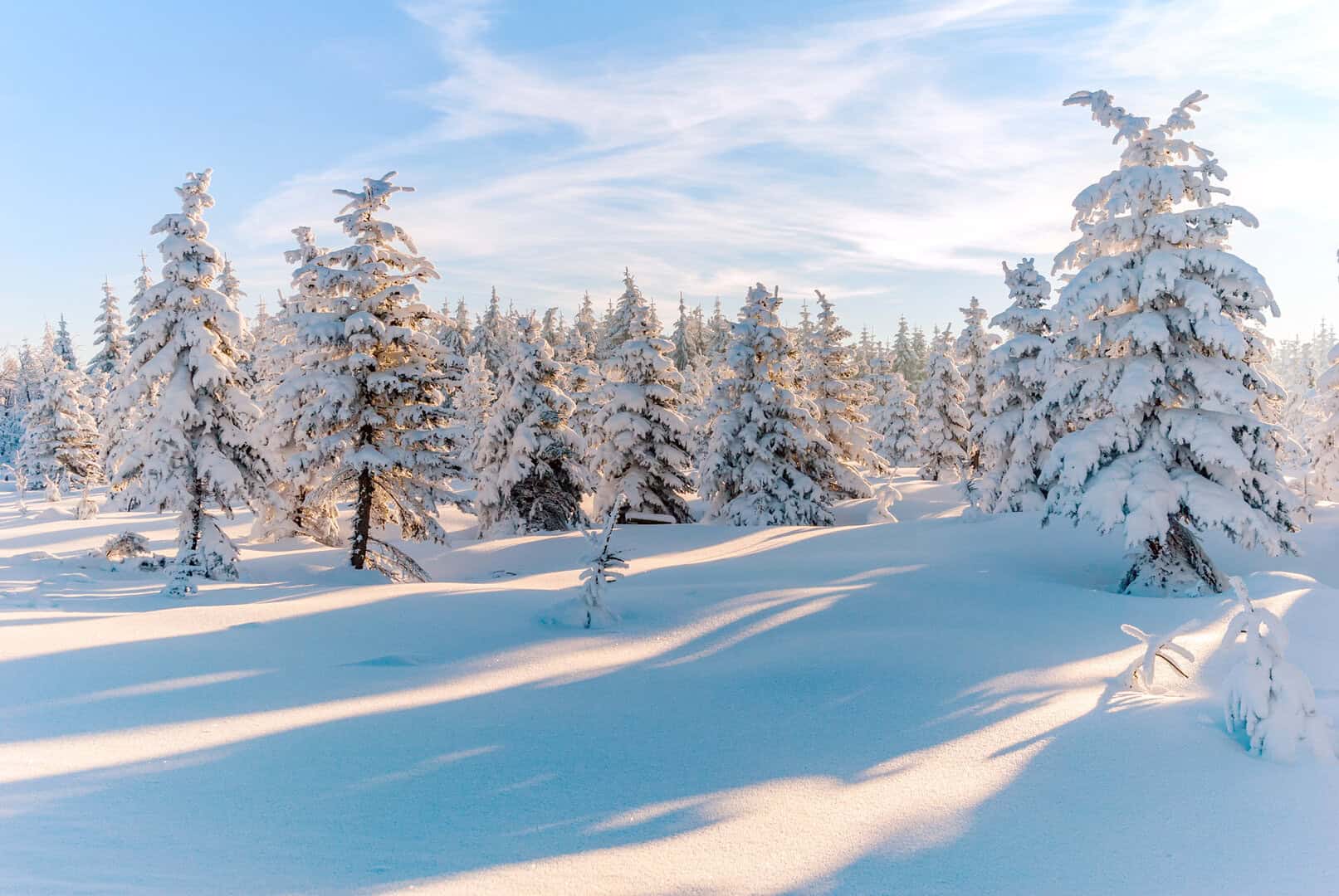Metà Gennaio dal meteo sorprendente: i segnali incoraggianti arrivano da questo indice