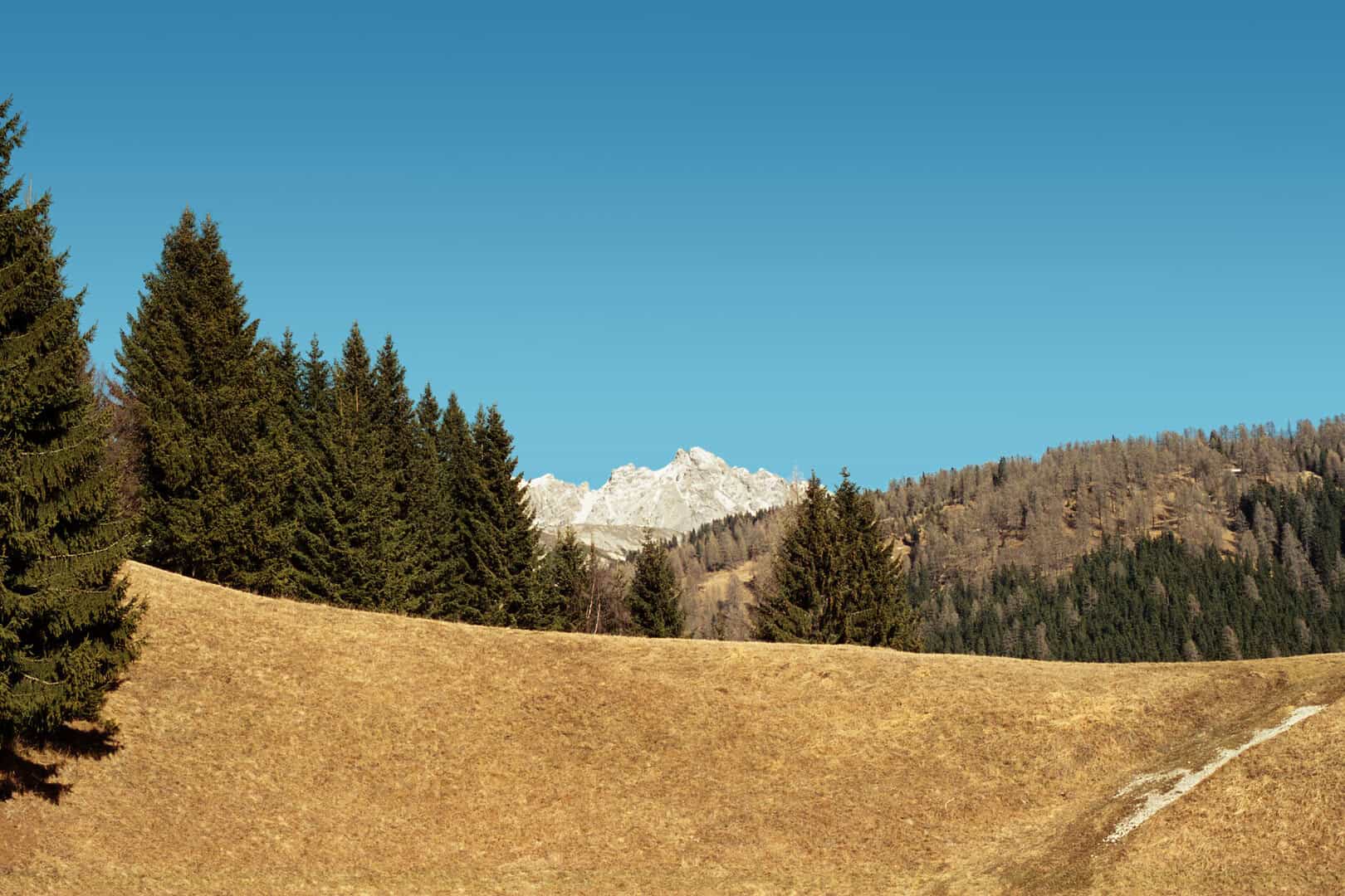 dreamstime m 44225583