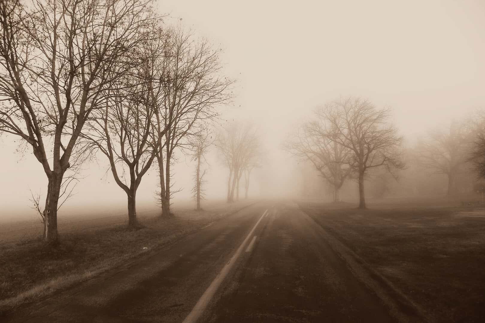 Attenzione alle nebbie in Valpadana, soprattutto nella seconda parte della prossima settimana. ID 50967137 © Hannah Babiak | Dreamstime.com 