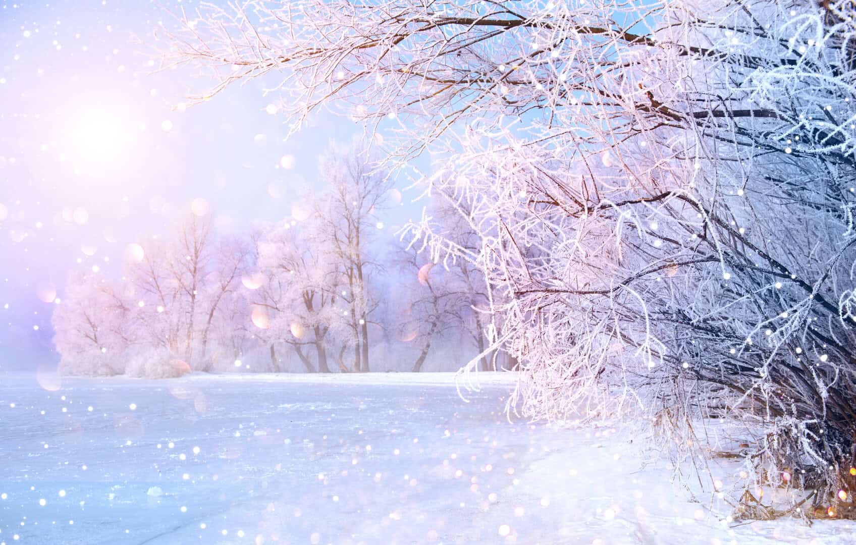 dreamstime m 84610075