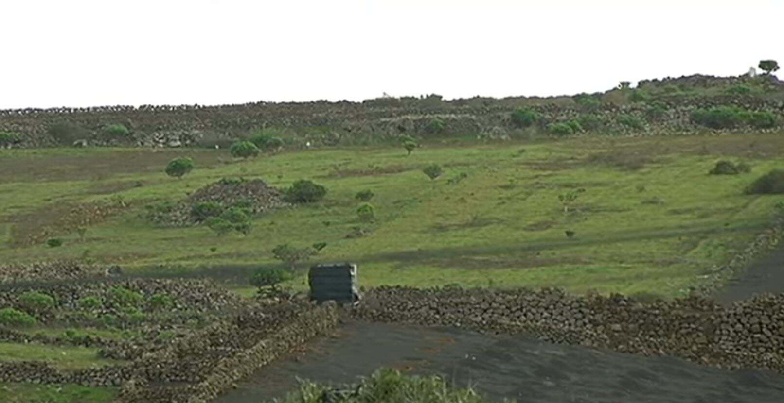 Canarie, Lanzarote insolita: l’isola dei vulcani si tinge di verde