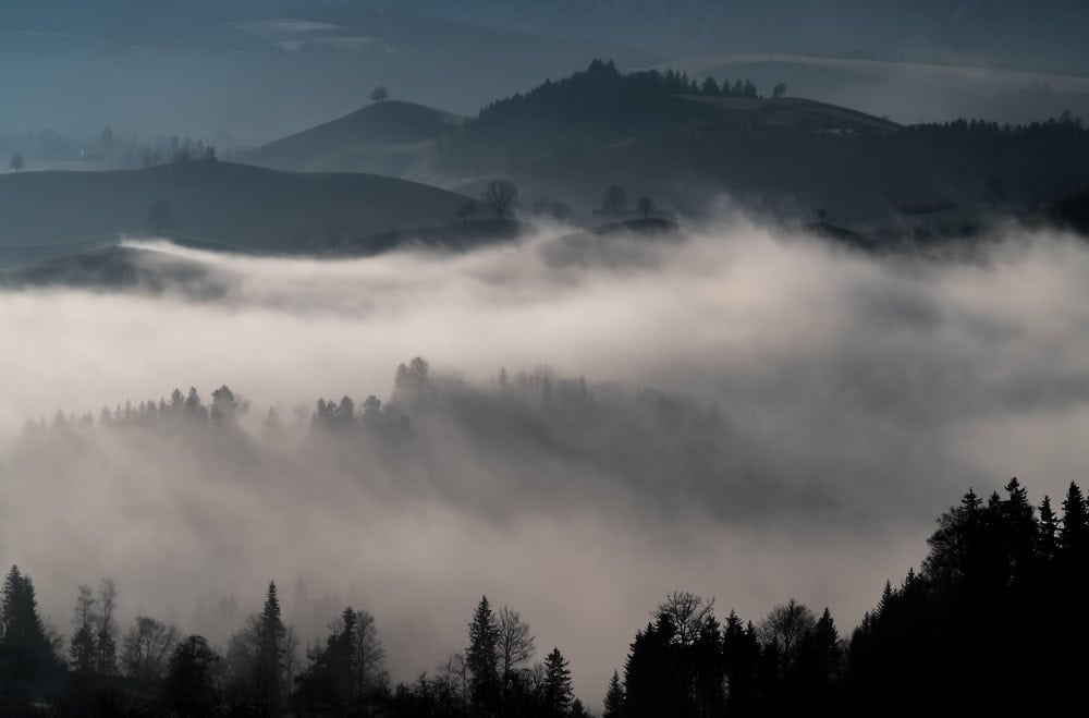nebbia1