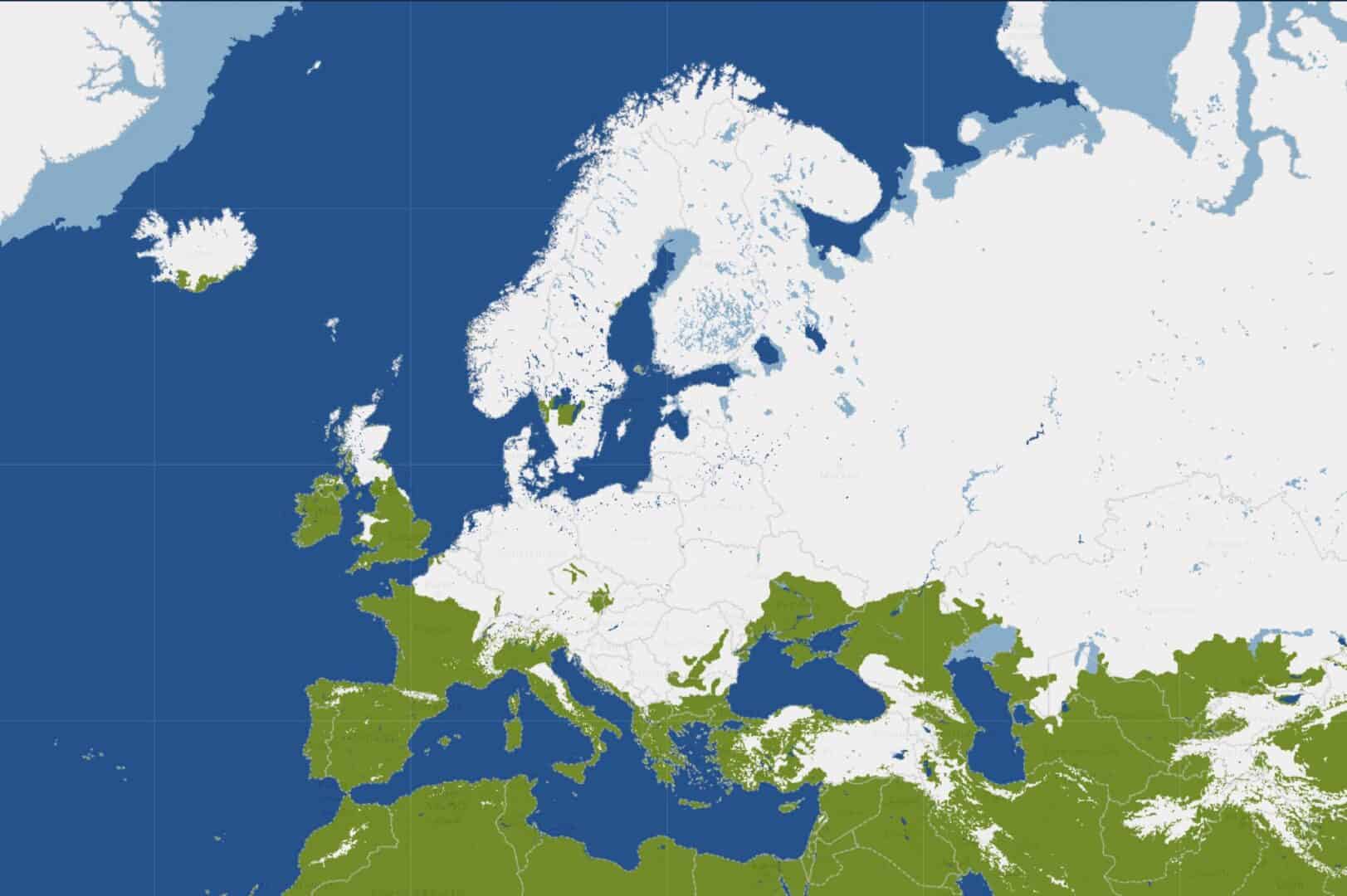 2026 01 11 15 25 26