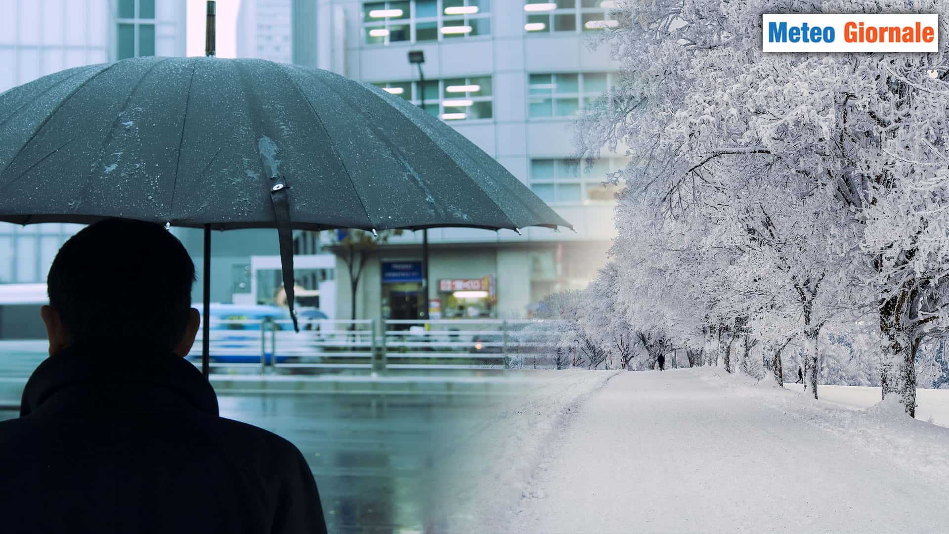 260126 A
