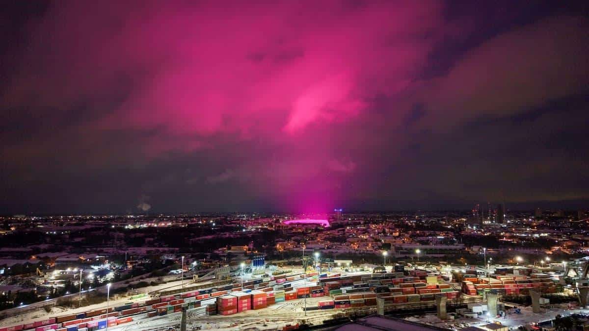 cielo viola