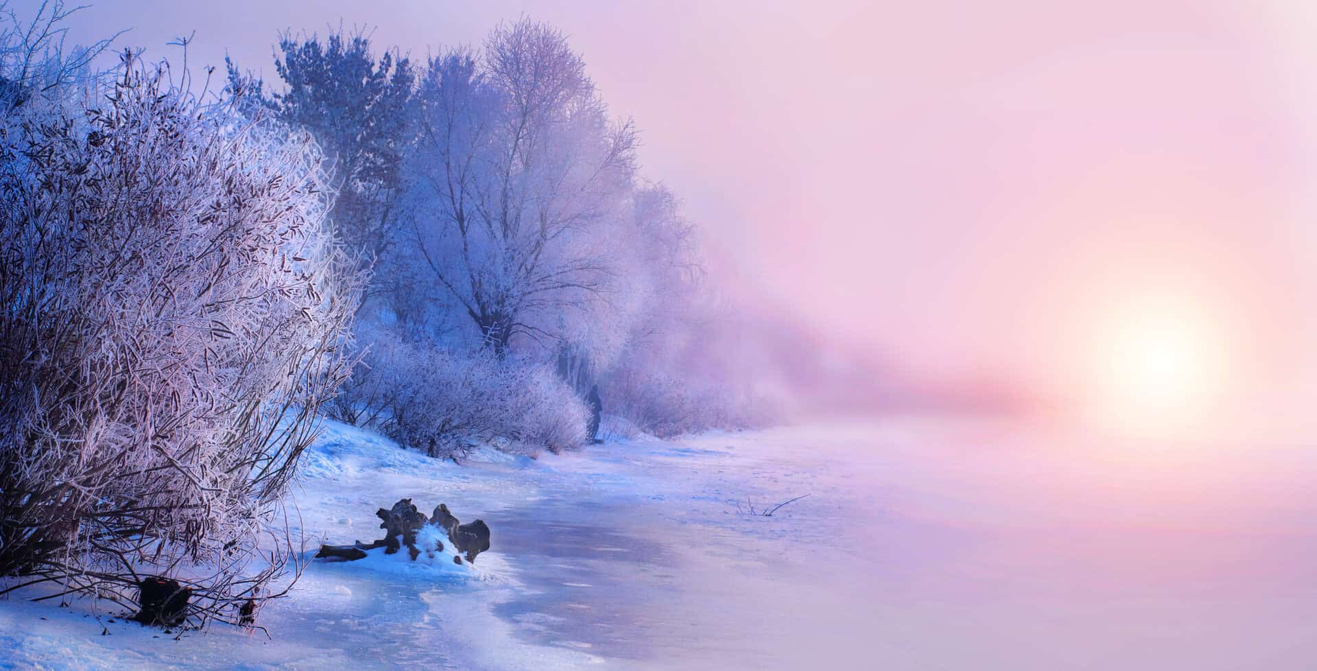 dreamstime m 126334122