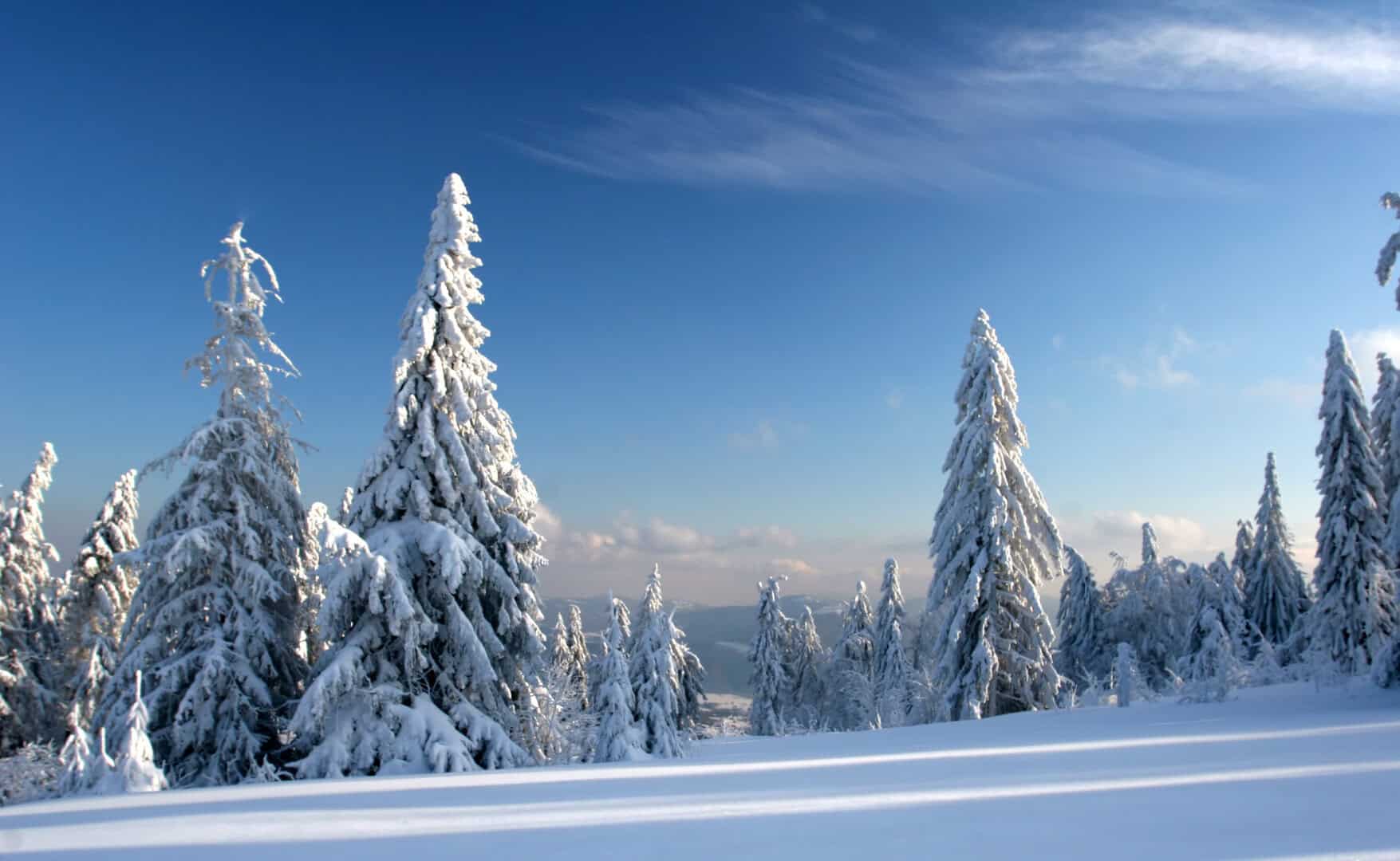 dreamstime m 2289639