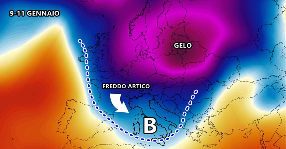 freddo artico