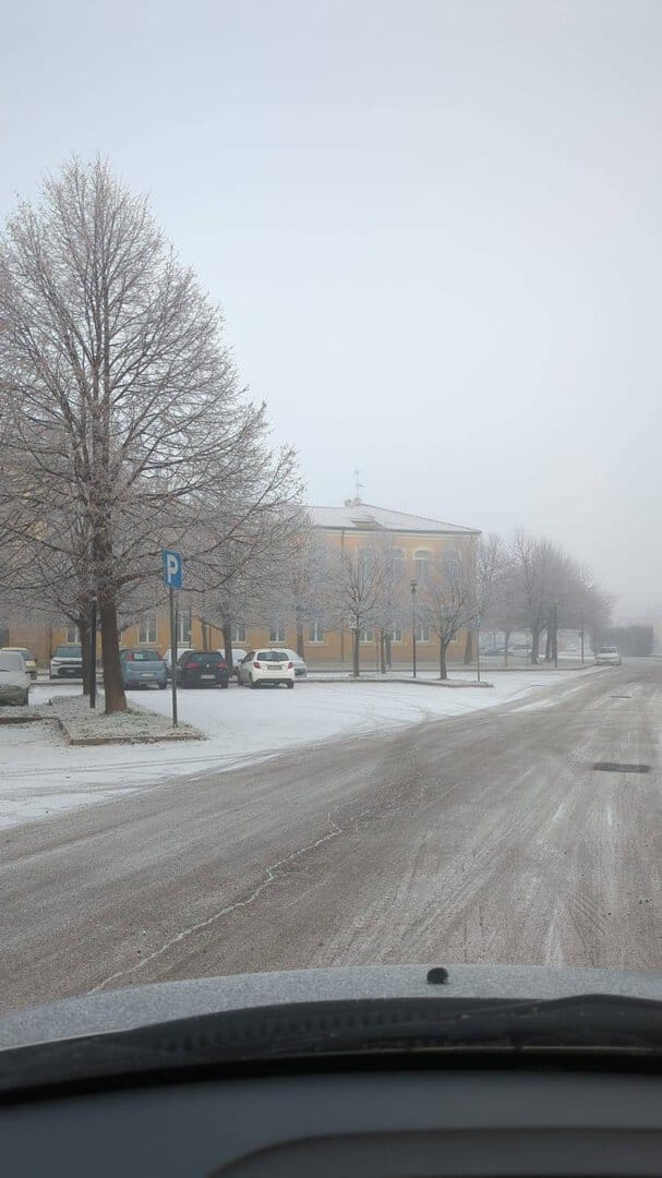 galaevrna2