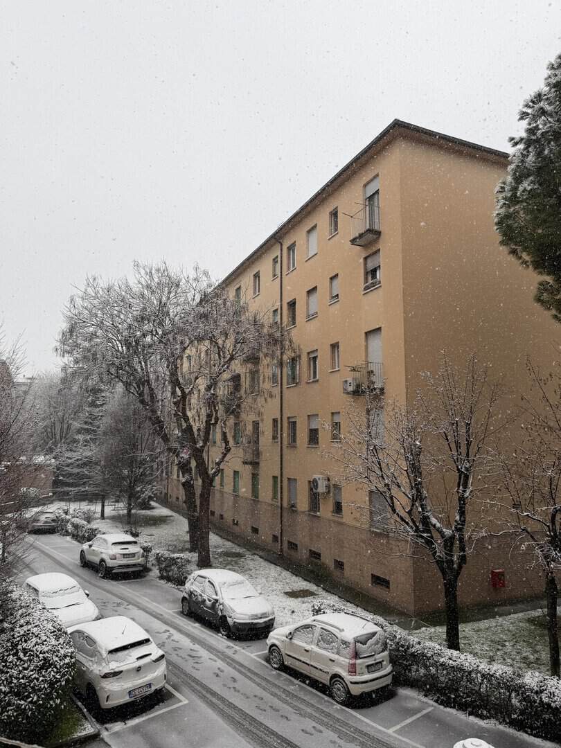 neve bologna1