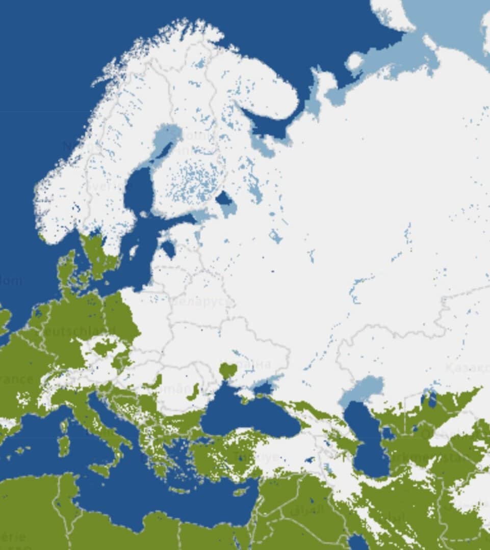 neve causa meteo