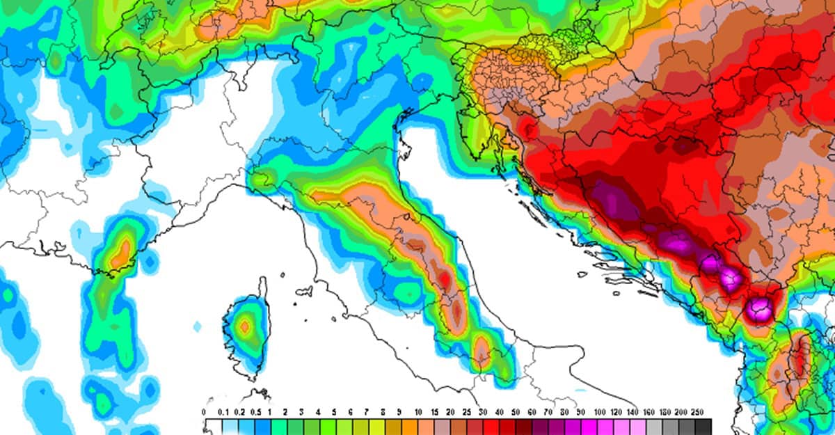 neve ecm