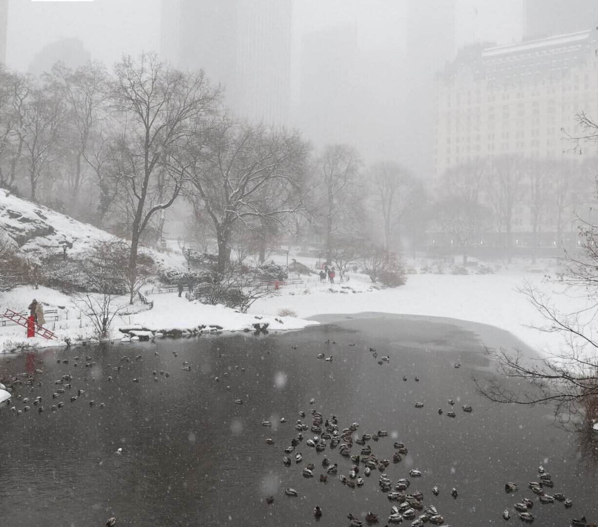 storm ice USA gelo Europa italia
