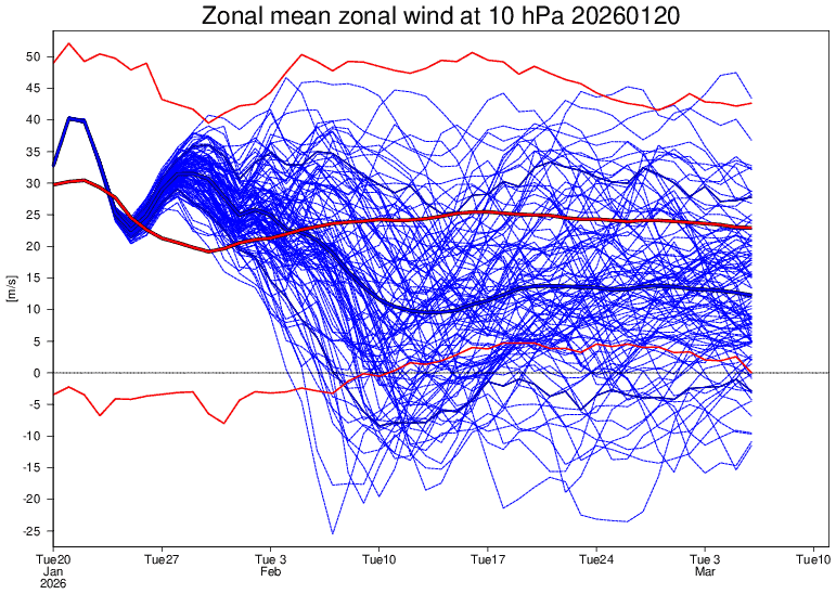 zonal