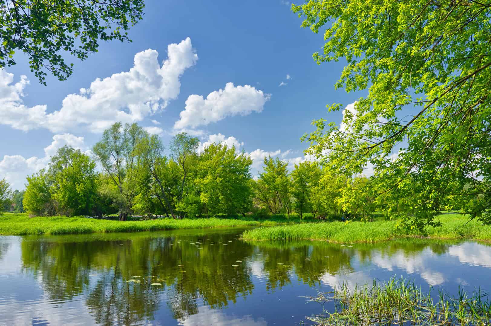 dreamstime m 28419291