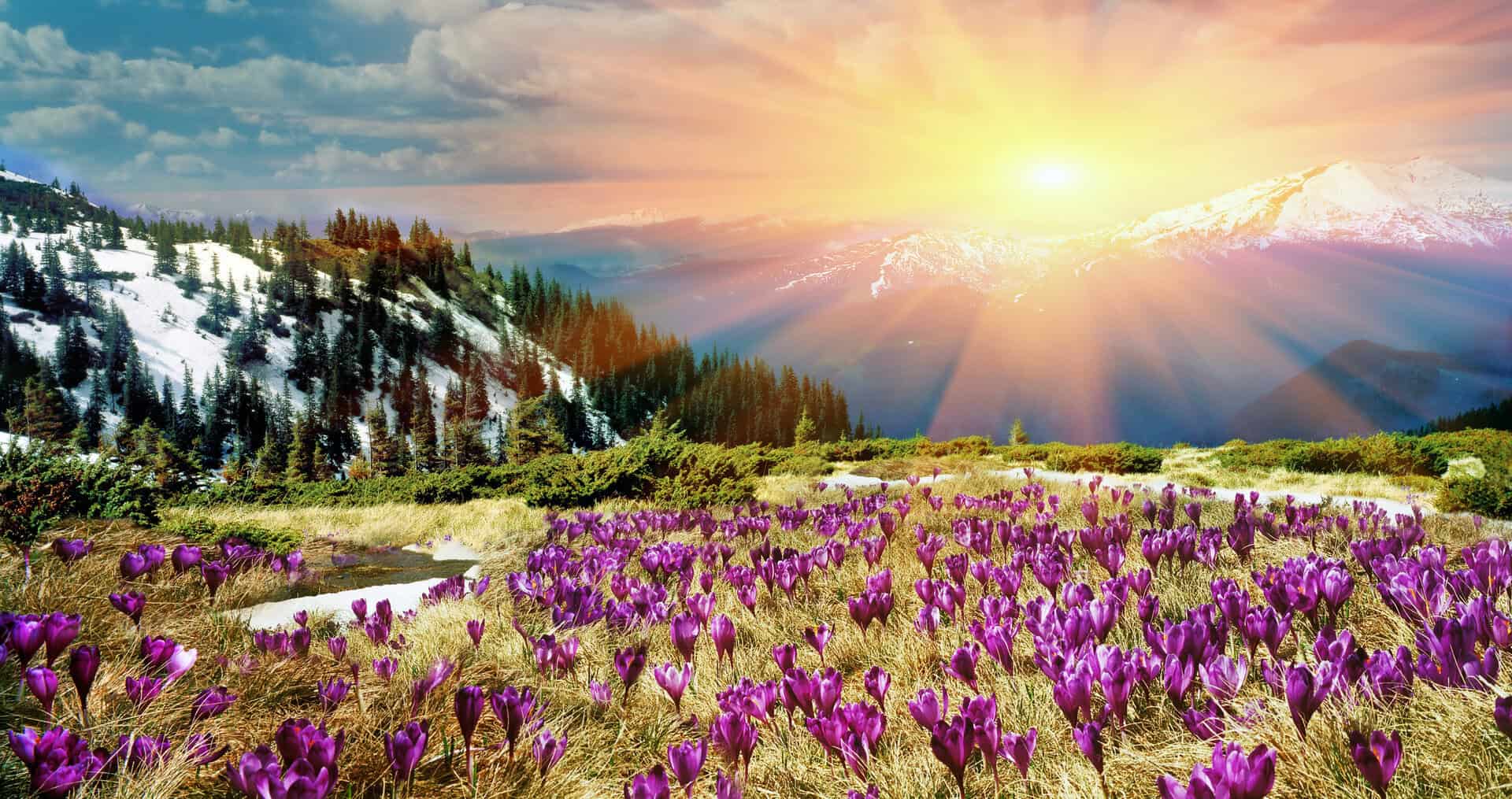 dreamstime m 44806934