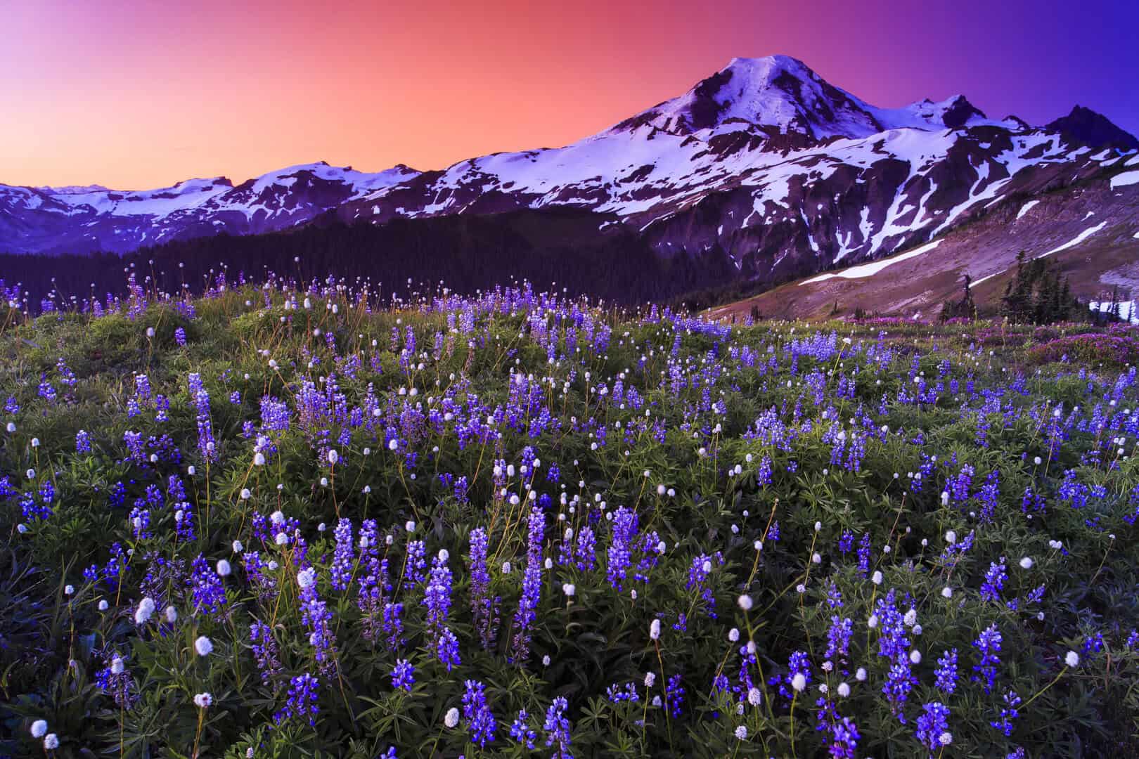 dreamstime m 44985430