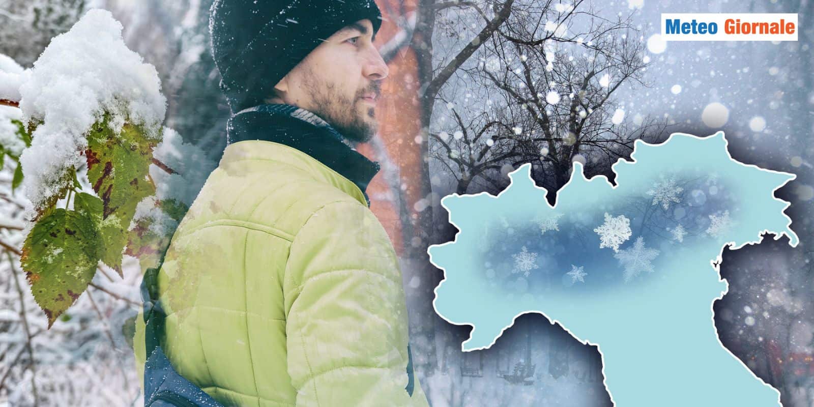 neve nord 02 nvnd