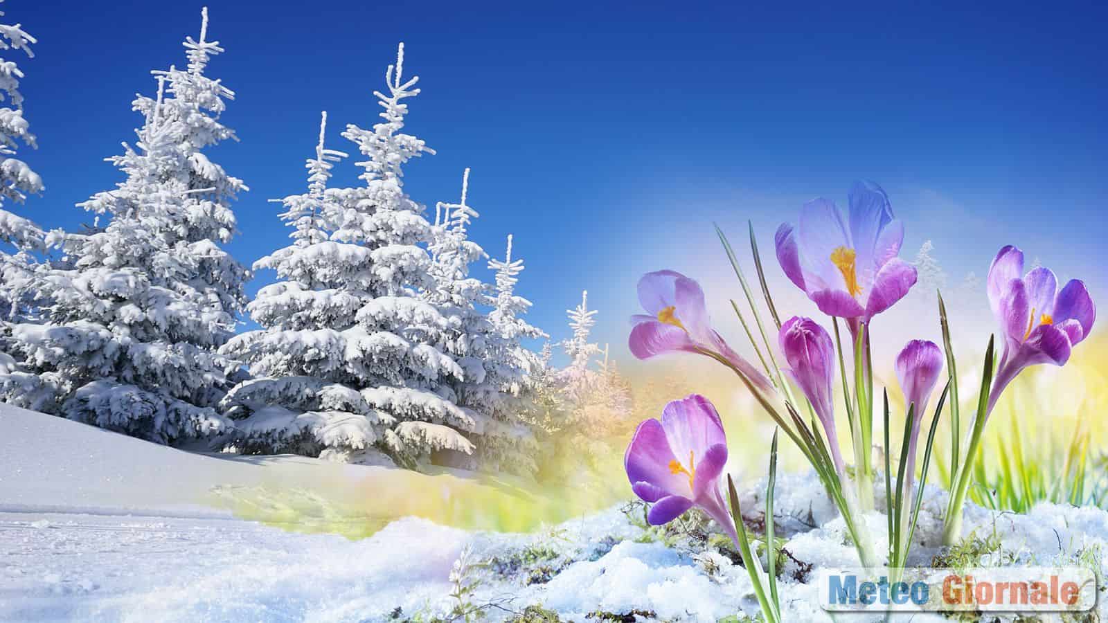 primavera dinamica senza blocchi