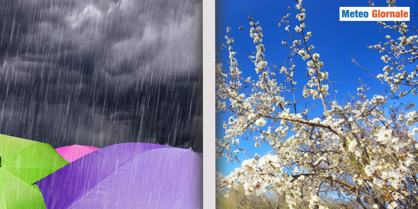 primavera ipotesi 20 prmipt