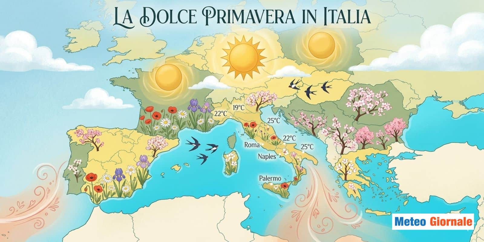 dolce primavera 14 dcprmv