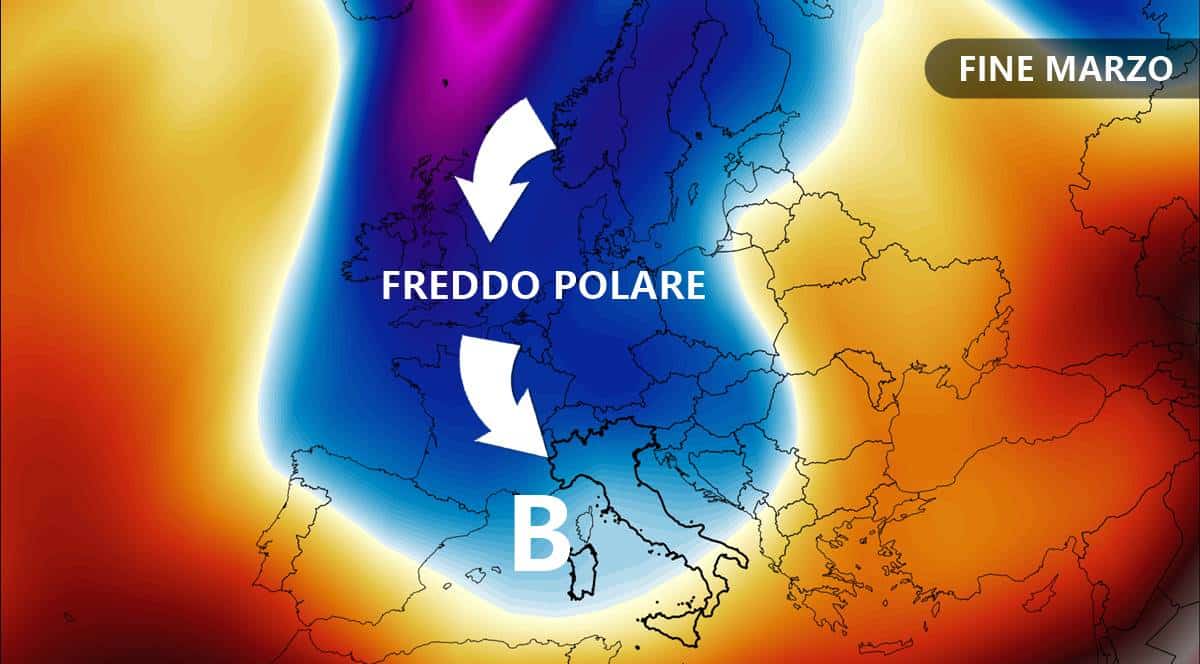 fredod polare