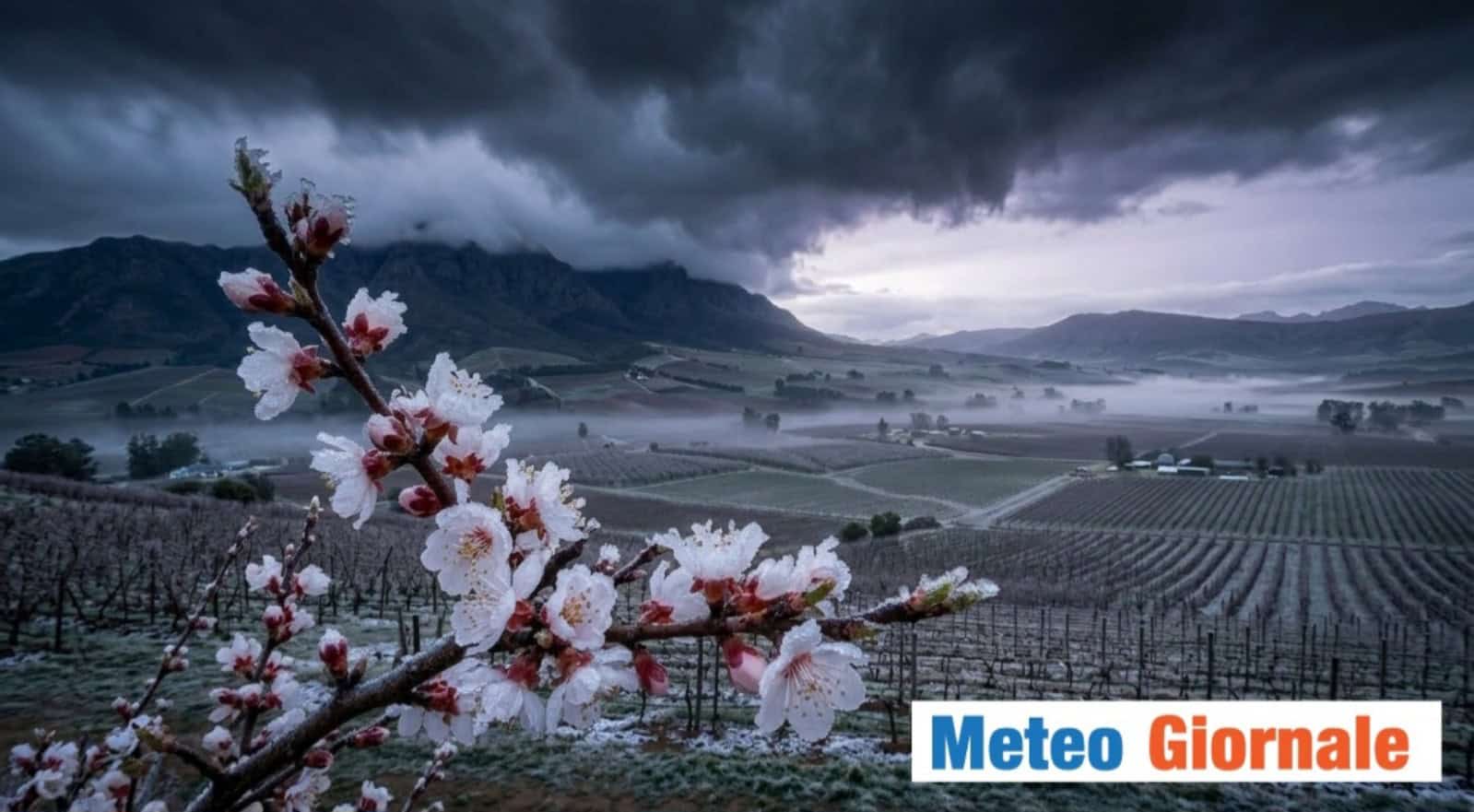meteo gelate