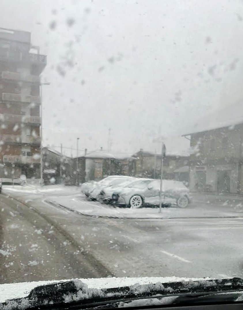 neve alfonsine