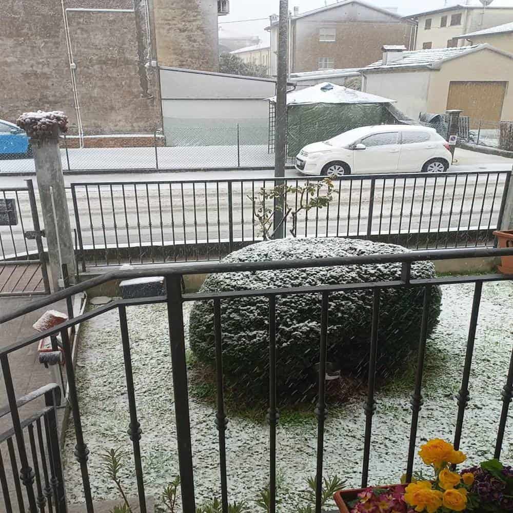neve alfonsine1