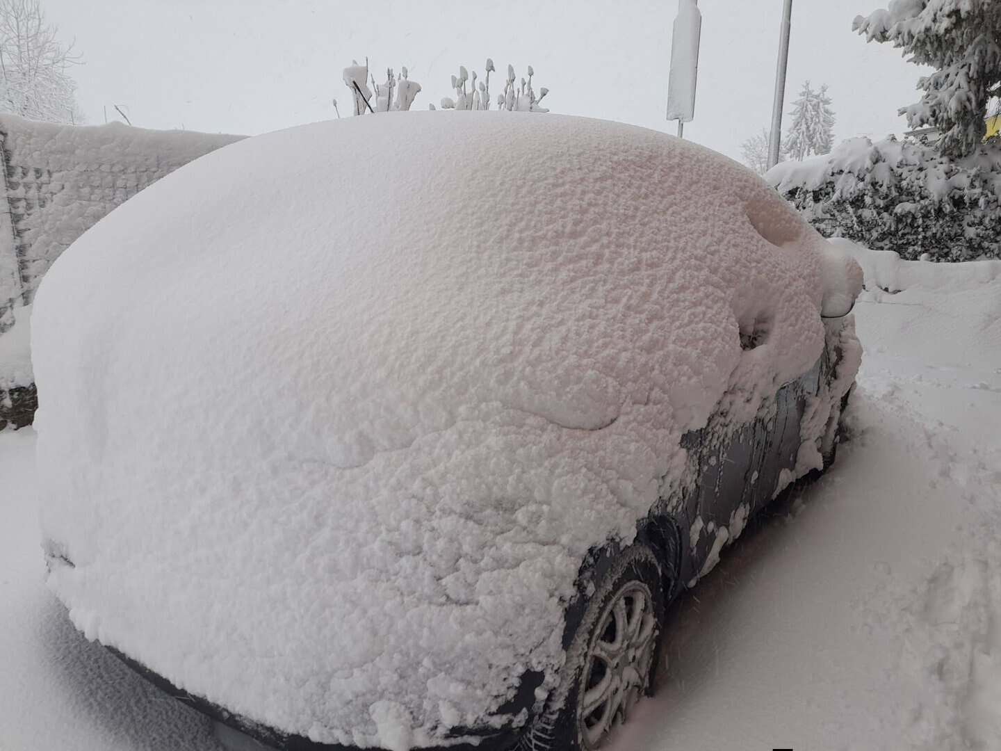 neve pavullo nel frignano mo