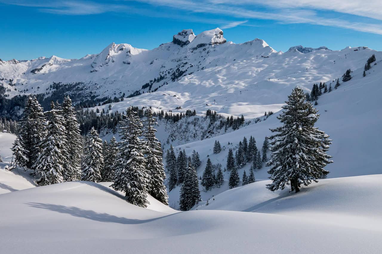 winter 4697776 1280