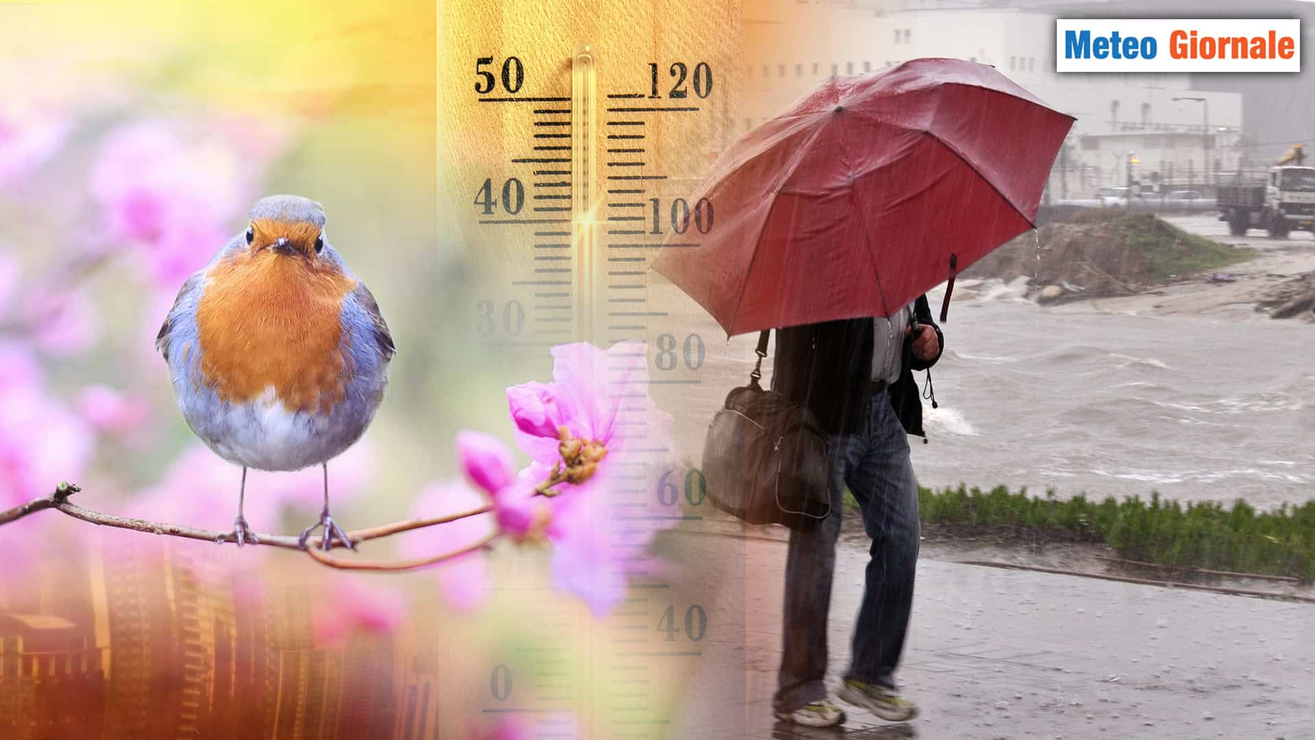 Temperature, punte fino a 27 gradi, ma dal weekend crolla tutto