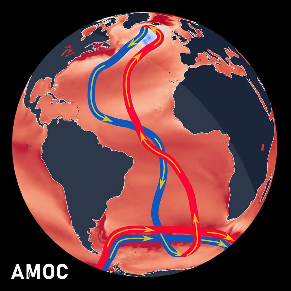 amoc