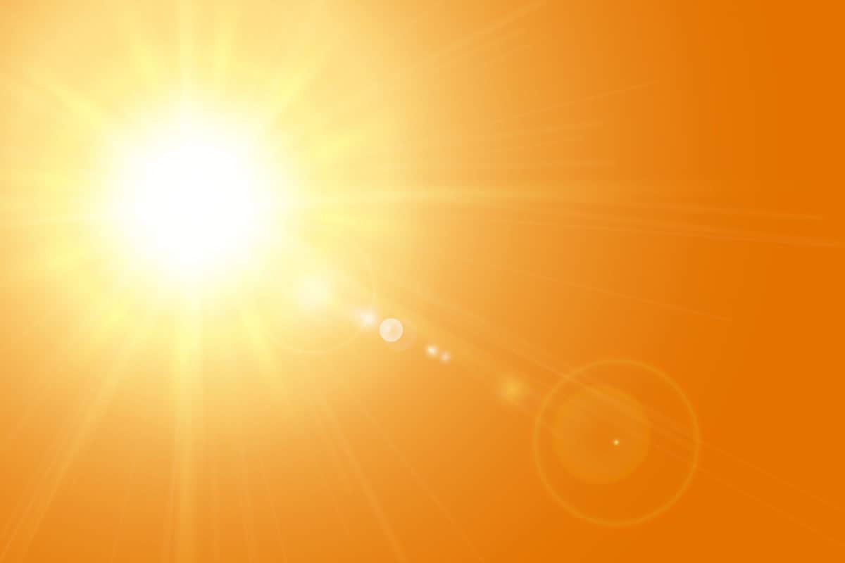 caldo1 1