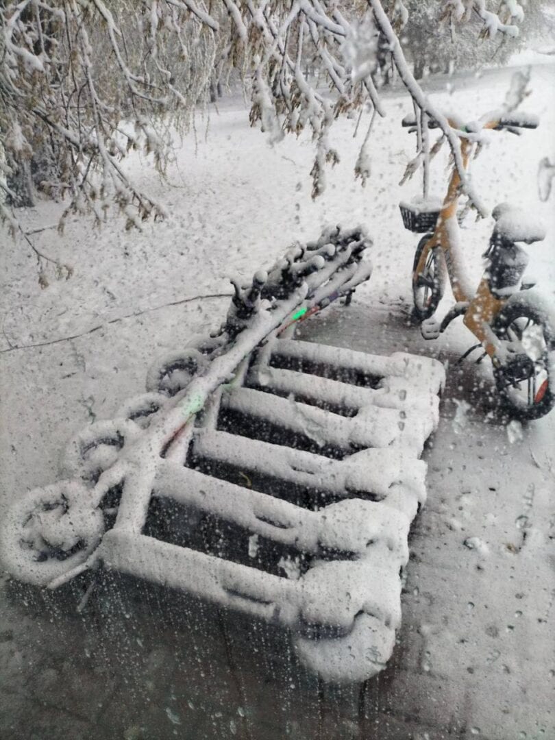neve mosca 01 27 1