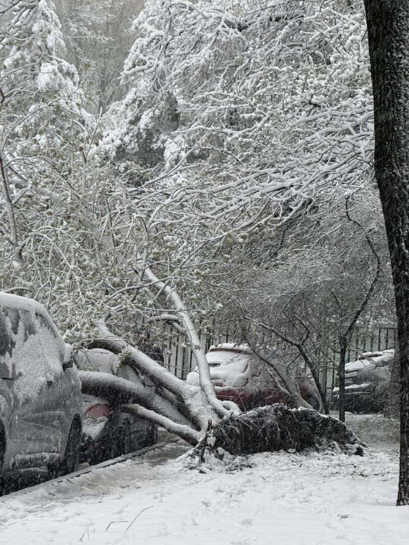 neve mosca 03 27 1