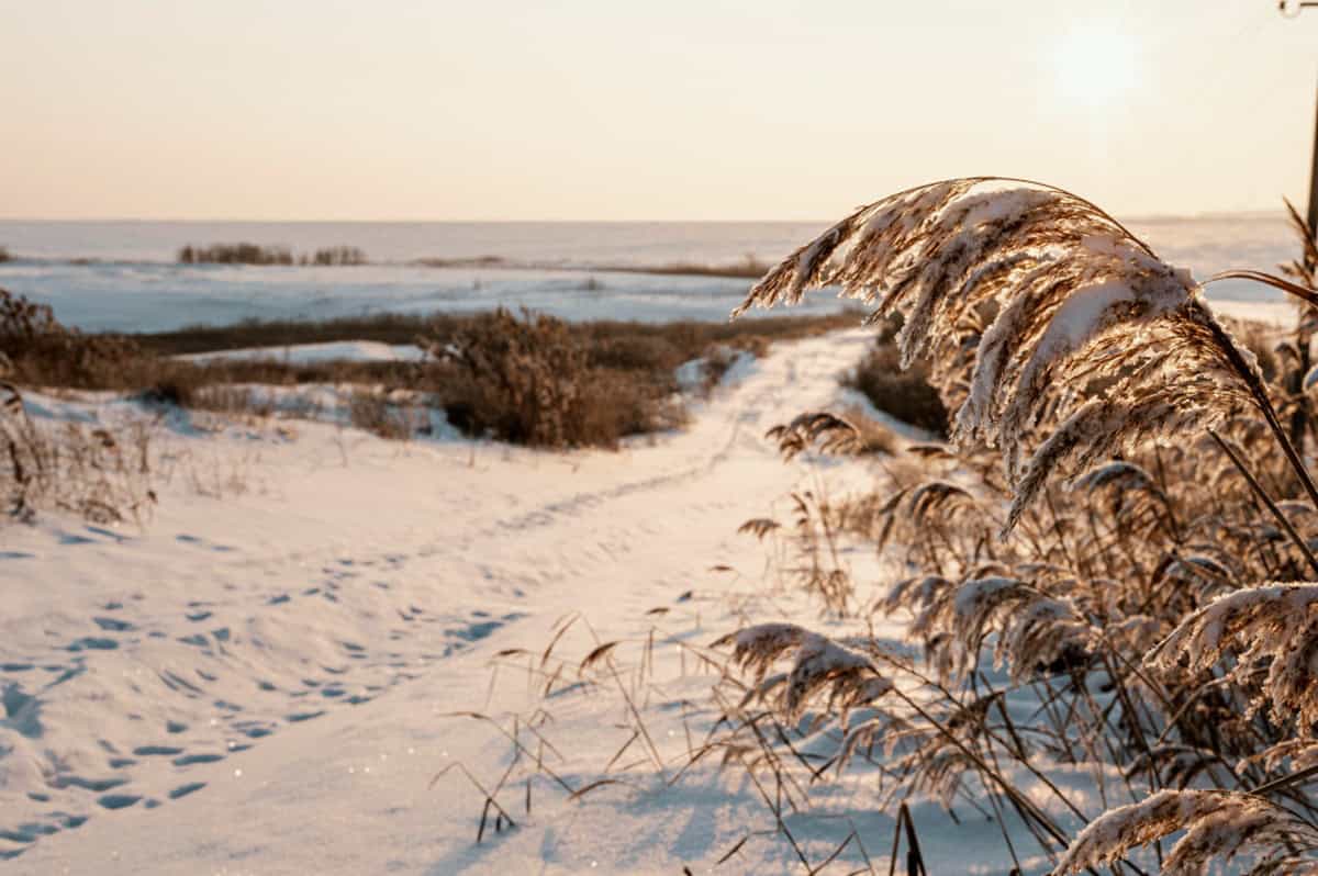 neve puglia