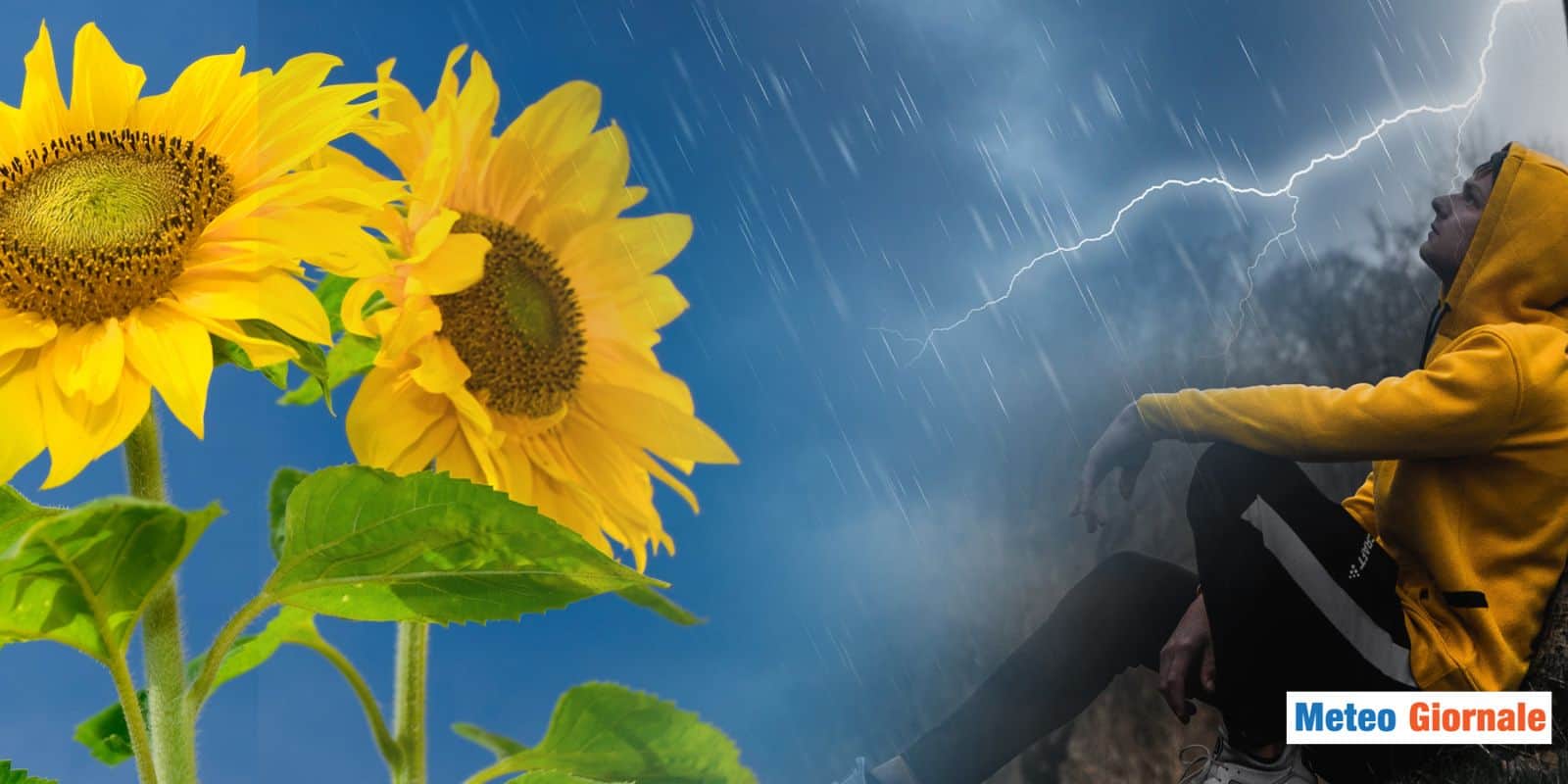 Fa caldo fino a 25°C, ma la PRIMAVERA è inceppata: ecco perché