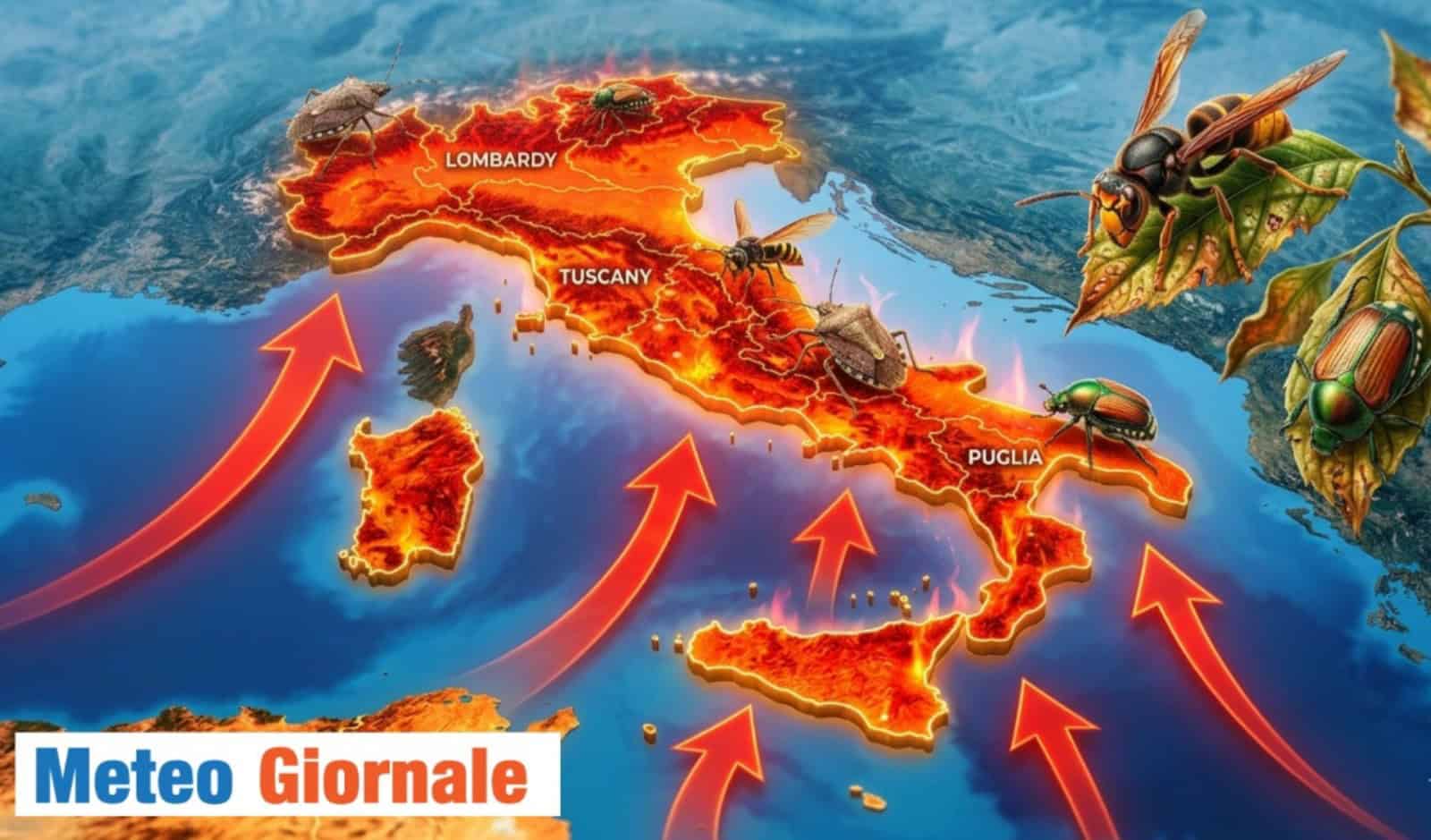Meteo, la fiammata africana risveglia gli ‘insetti alieni’: l’allarme silenzioso nei nostri giardini da questa settimana