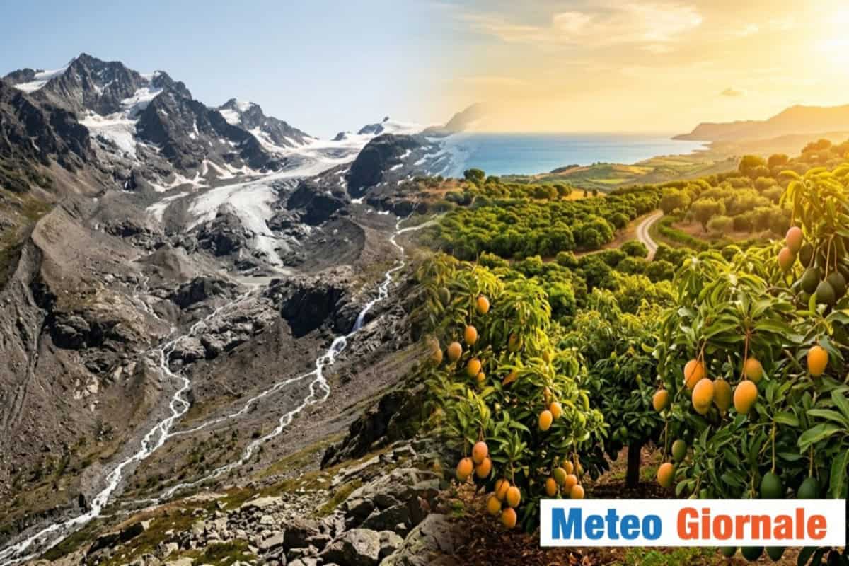 Meteo, Estate 2003: il nuovo standard tra ghiacciai e mango