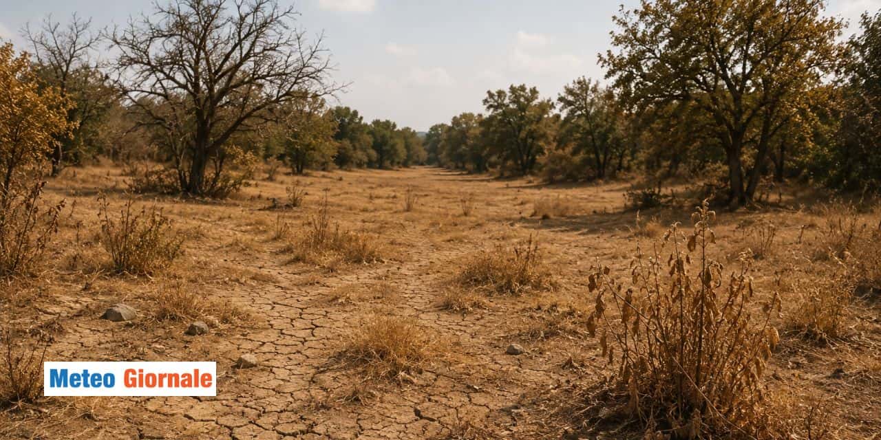 Sole e caldo a oltranza: ritorna l’incubo siccità sull’Italia