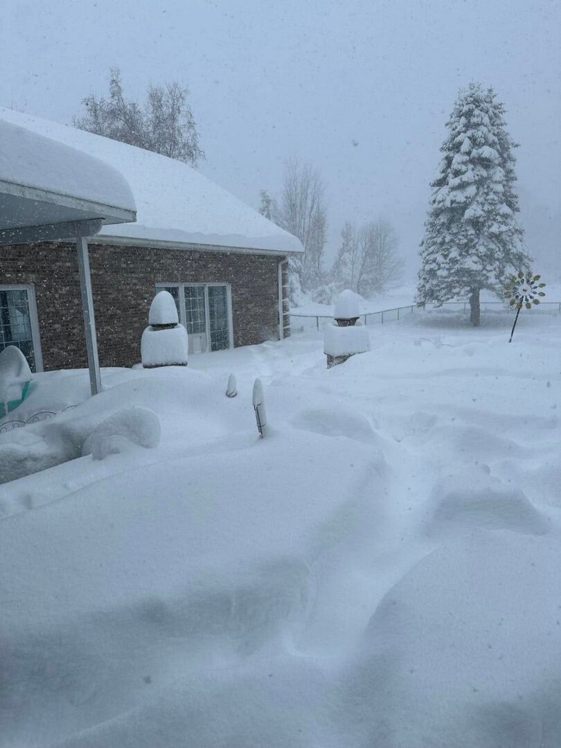 neve nel mondo 25 00001 1