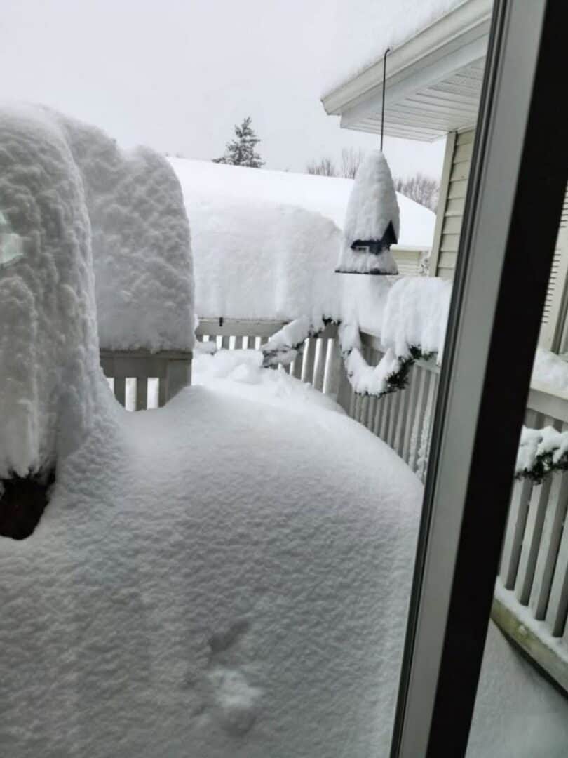 neve nel mondo 25 00003