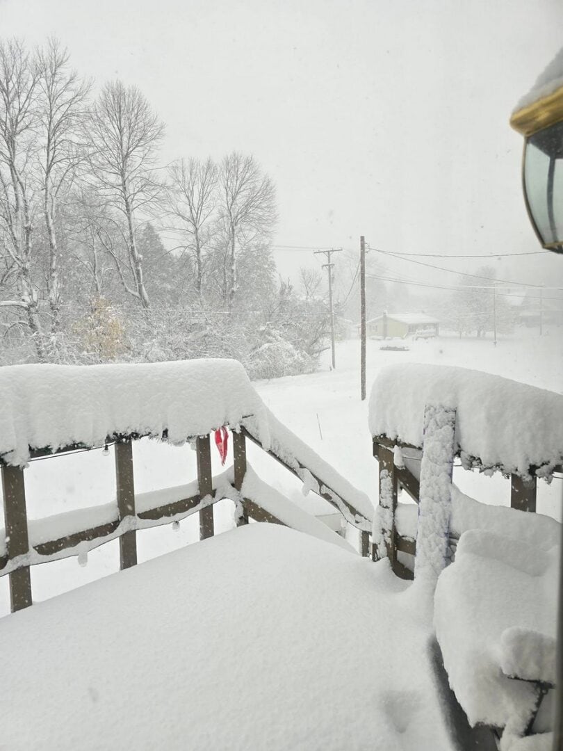 neve nel mondo 25 00008