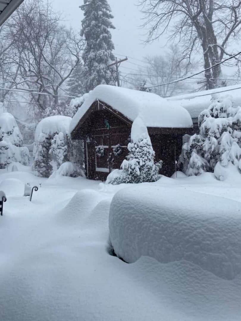 neve nel mondo 25 00011